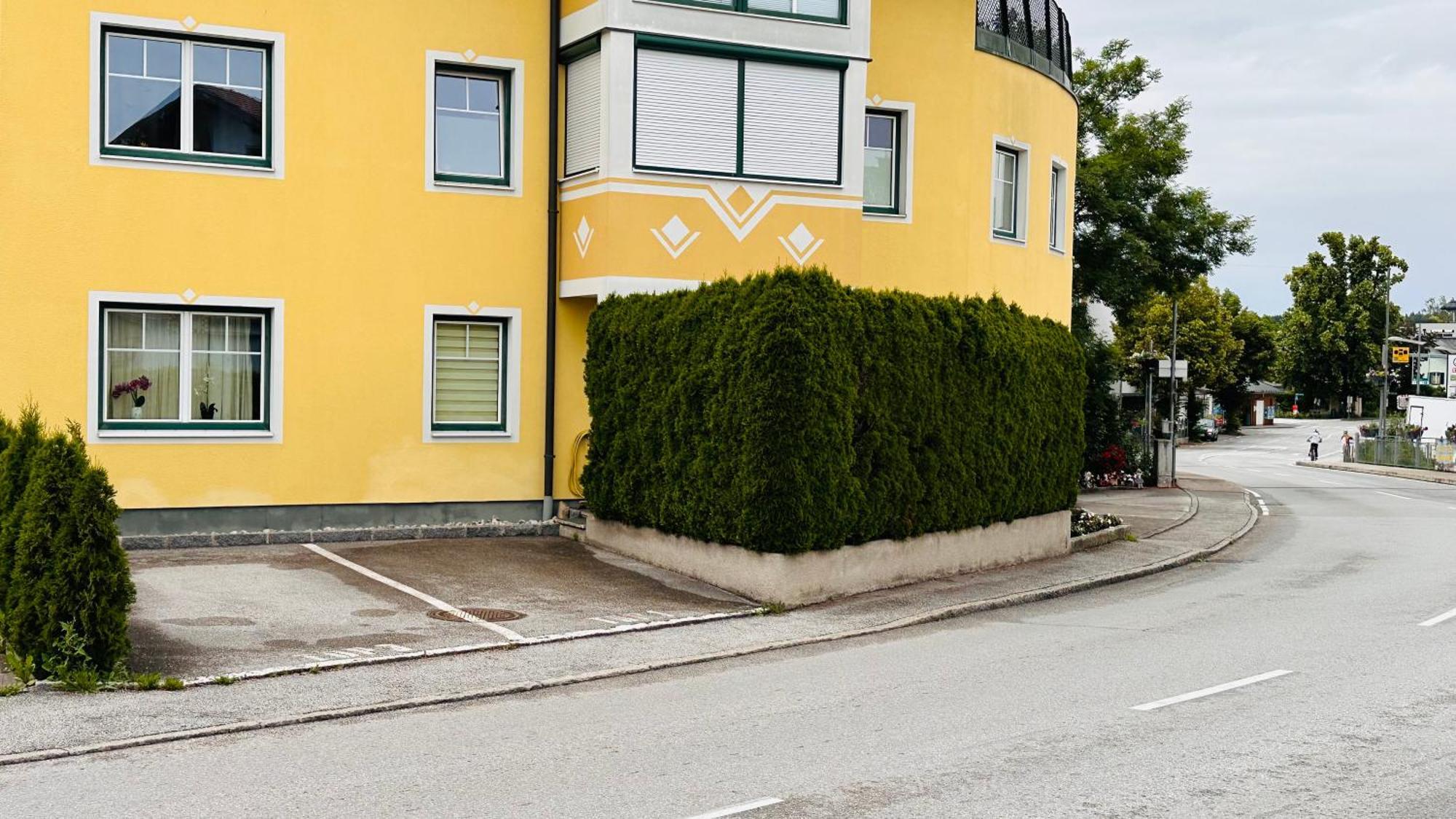 Naturparadies Salzburg-Land 塞基兴 外观 照片